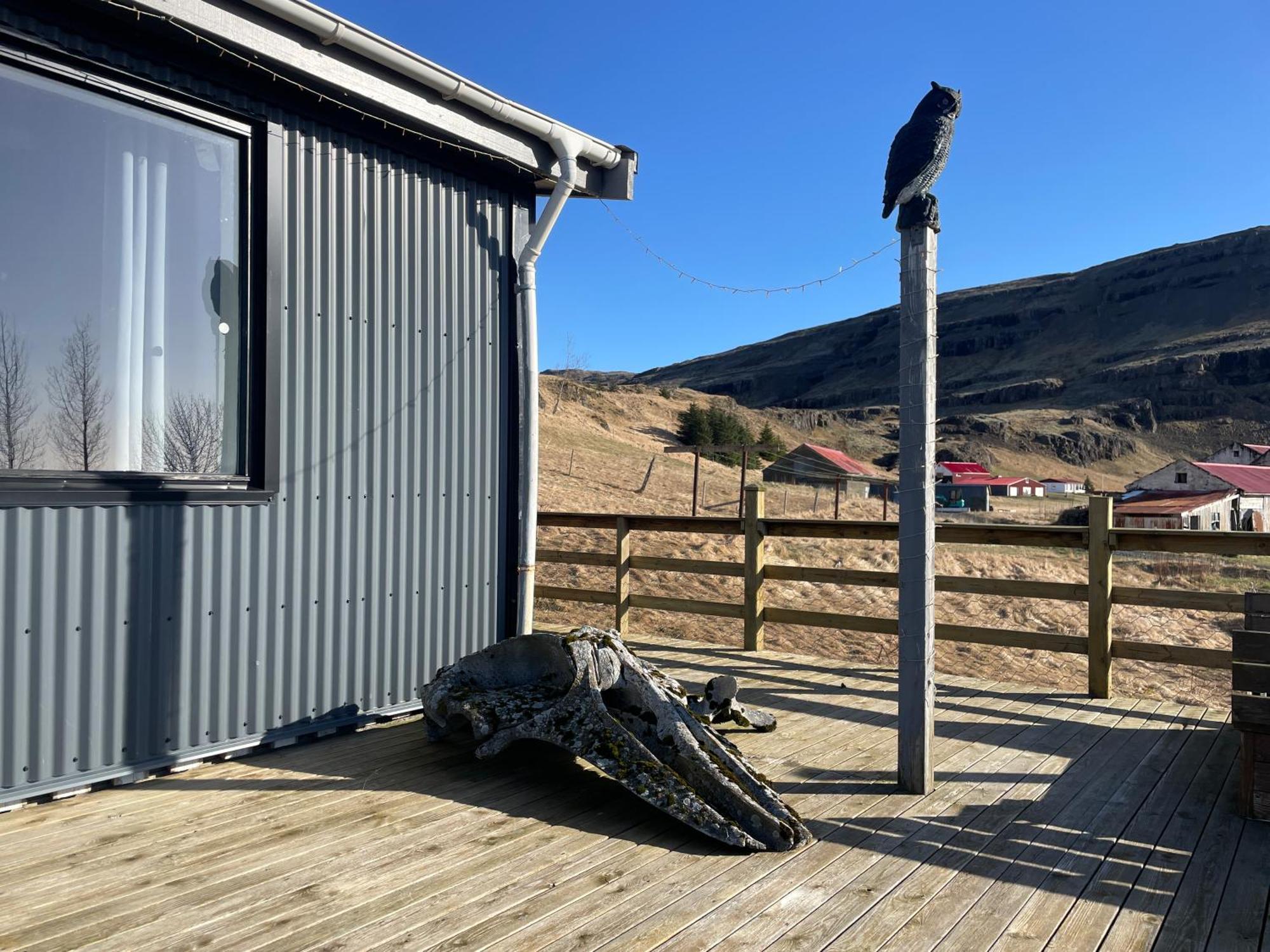 莱豪富斯农家民宿 Borgarhöfn 外观 照片